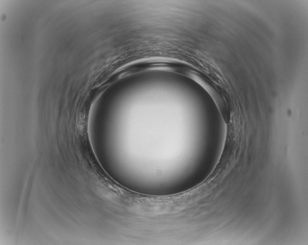 X0000087360033200704201158
