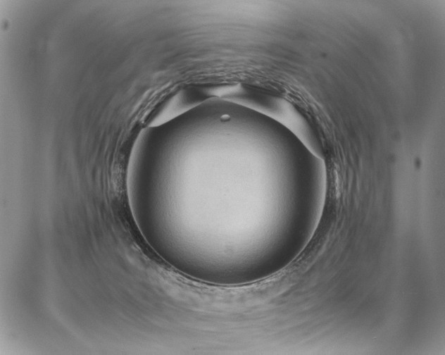 X0000087360035200704201158