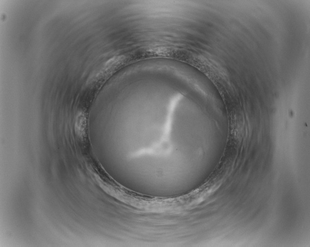 X0000087360036200704201158