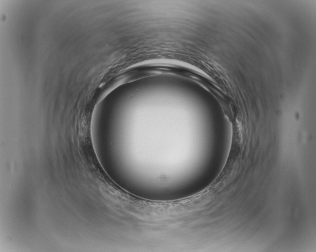 X0000087360037200704201158