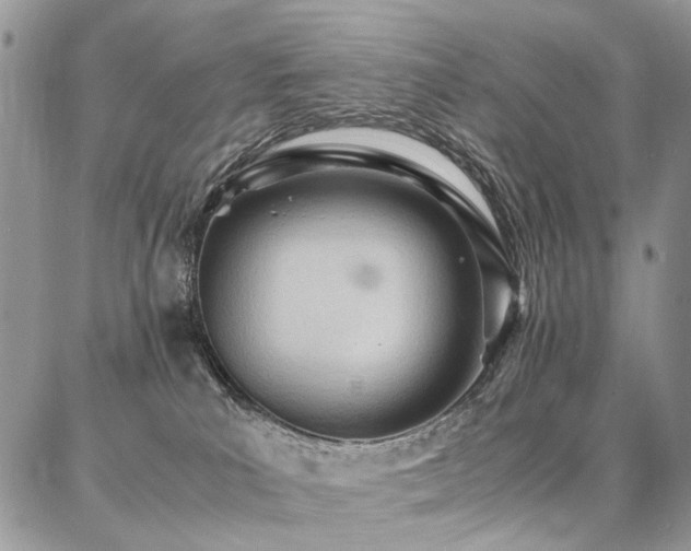 X0000087360039200704201158