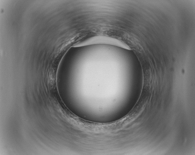 X0000087360040200704201158