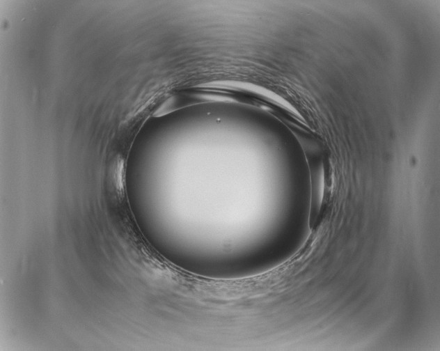 X0000087360041200704201158