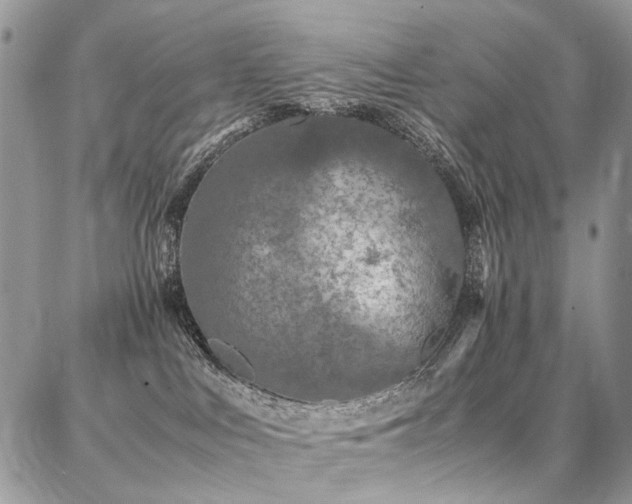 X0000087360043200704201158