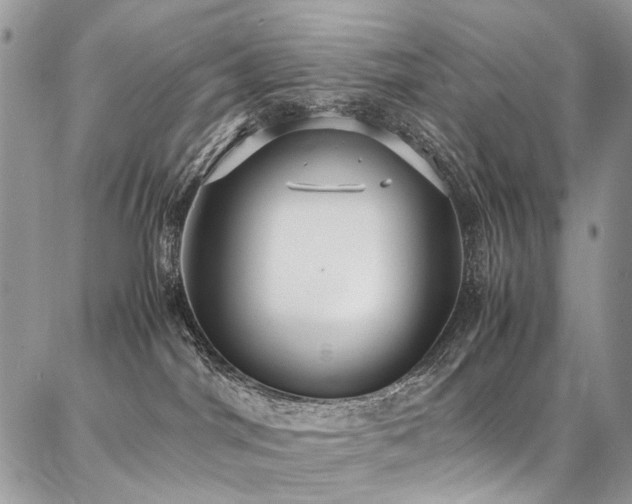 X0000087360044200704201158