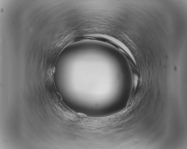 X0000087360045200704201158