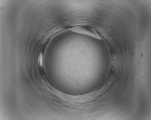 X0000087360046200704201158