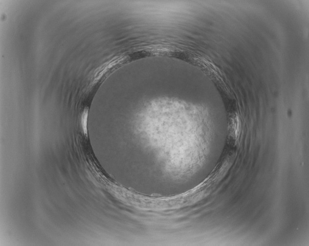 X0000087360047200704201158