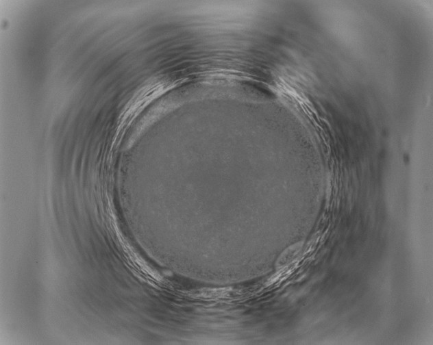 X0000087360049200704201157