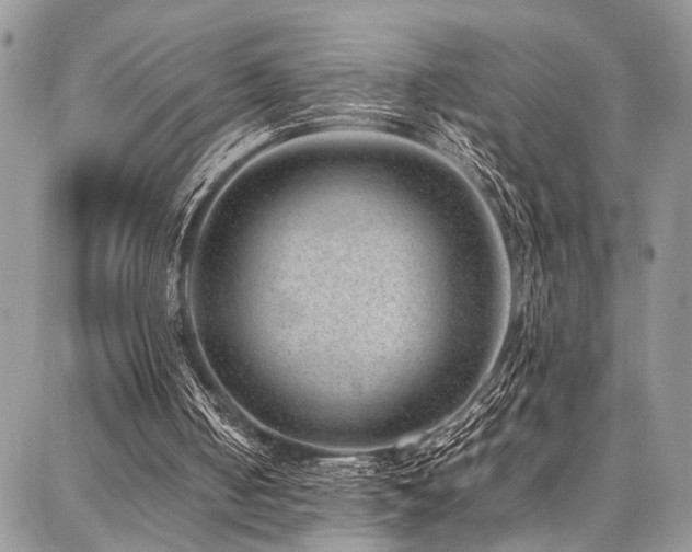 X0000087360050200704201157