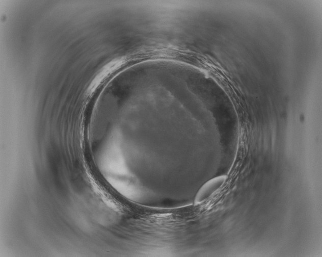 X0000087360054200704201157