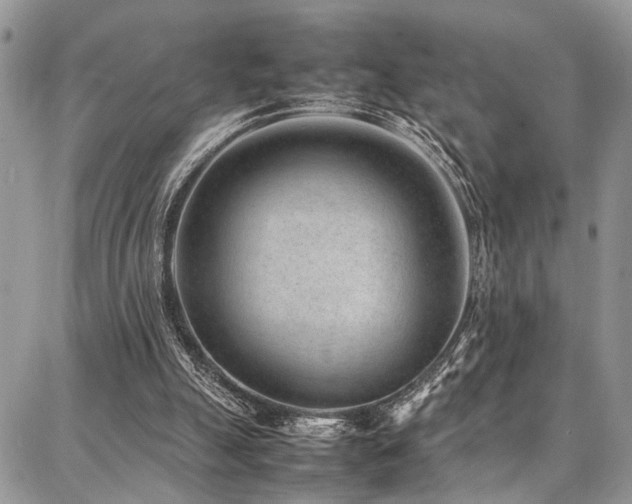 X0000087360055200704201157