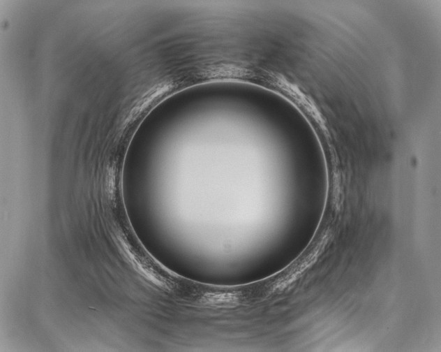 X0000087360057200704201157