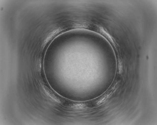 X0000087360059200704201157