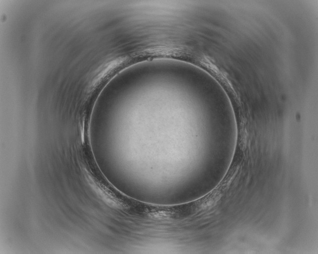 X0000087360062200704201157