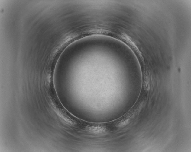 X0000087360063200704201157