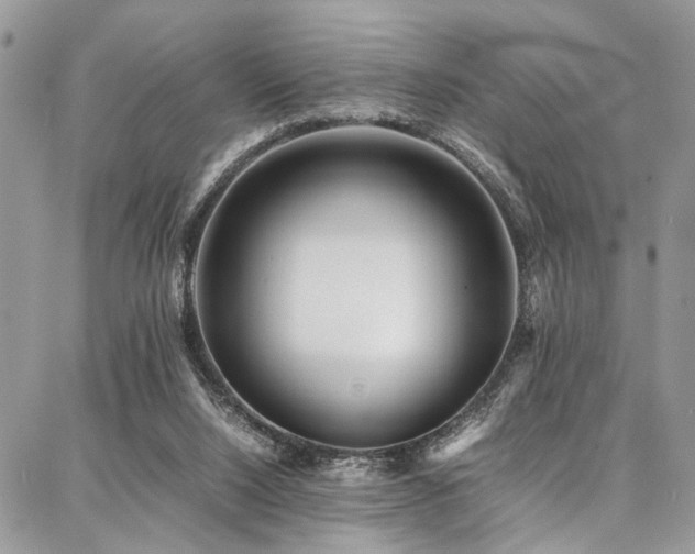 X0000087360064200704201157