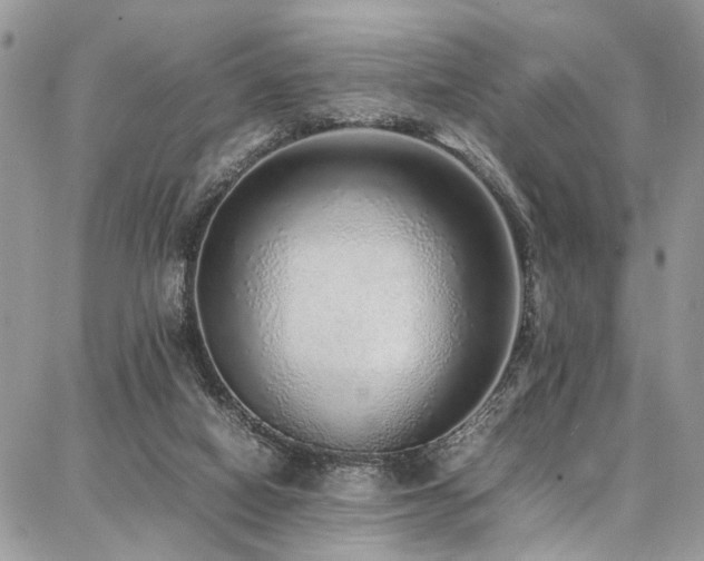 X0000087360066200704201157