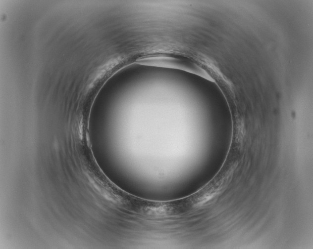 X0000087360068200704201157