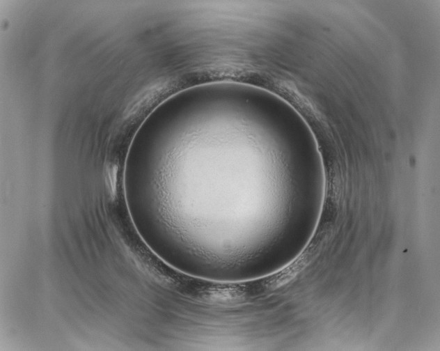 X0000087360070200704201158