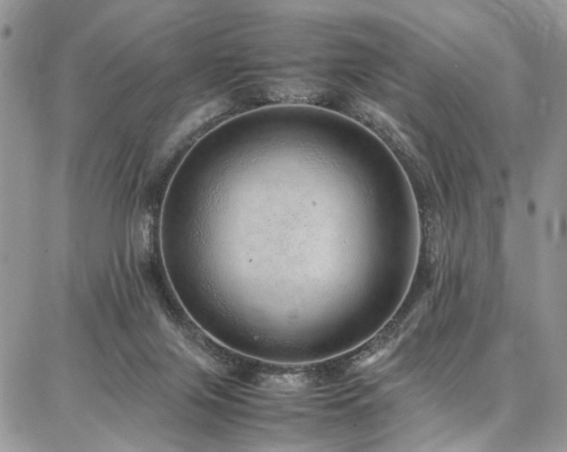 X0000087360071200704201158