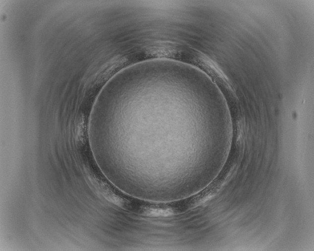 X0000087360073200704201158