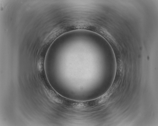 X0000087360074200704201158