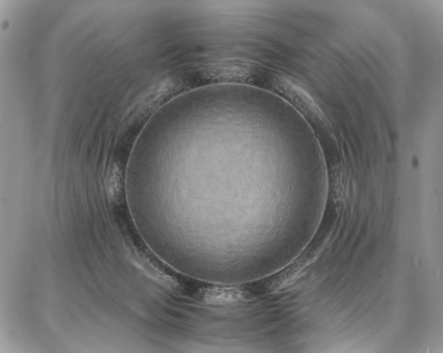 X0000087360077200704201158