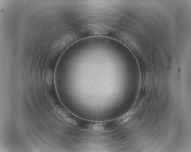 X0000087360078200704201158