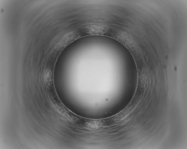 X0000087360079200704201158