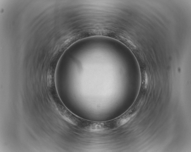 X0000087360080200704201158