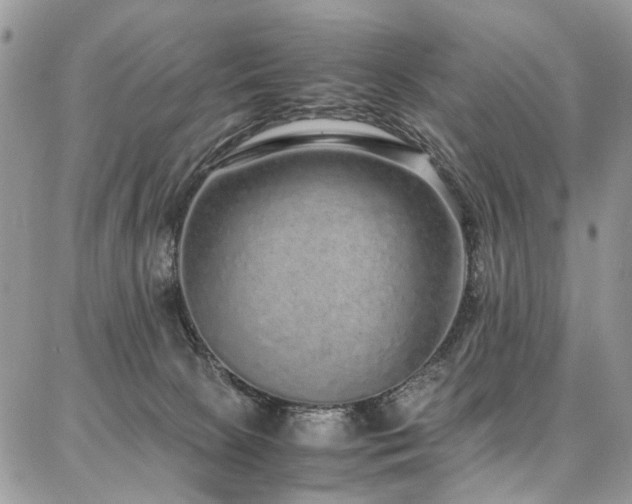 X0000087360081200704201158