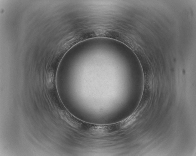 X0000087360082200704201158