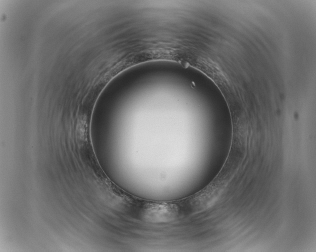 X0000087360083200704201158
