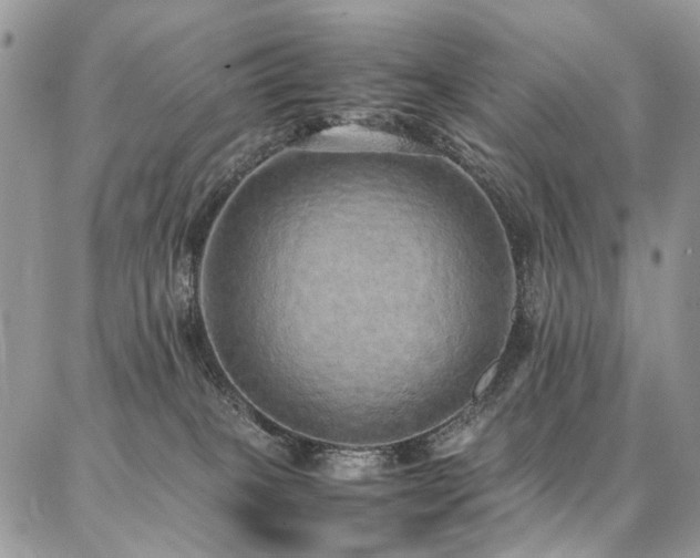 X0000087360085200704201158