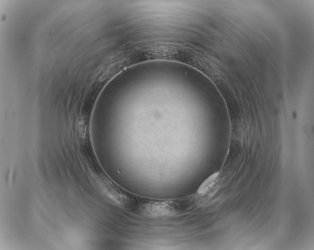 X0000087360086200704201158
