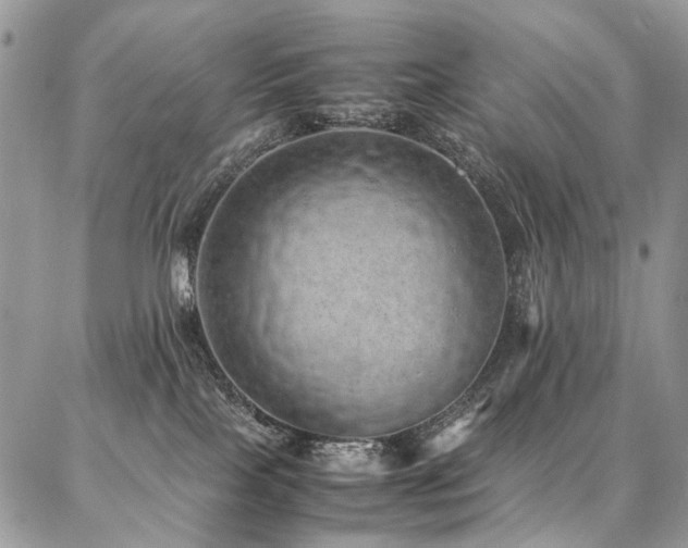 X0000087360089200704201158