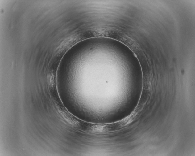 X0000087360090200704201158
