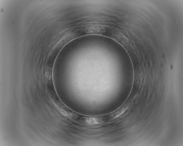 X0000087360091200704201158