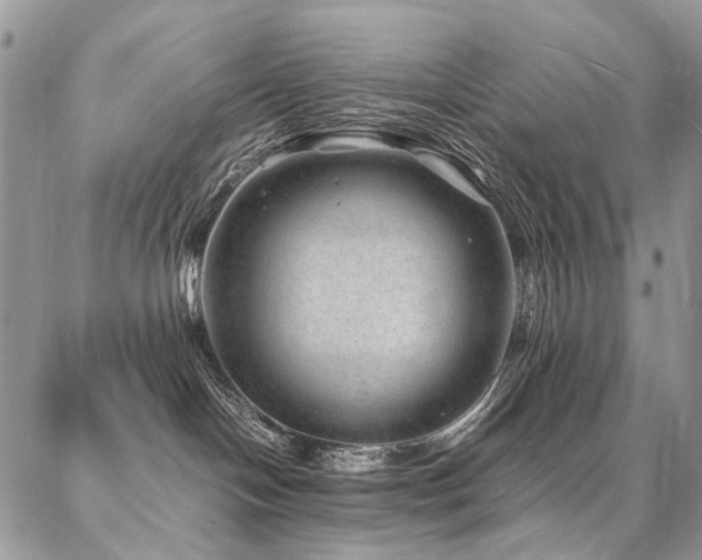 X0000087360094200704201158