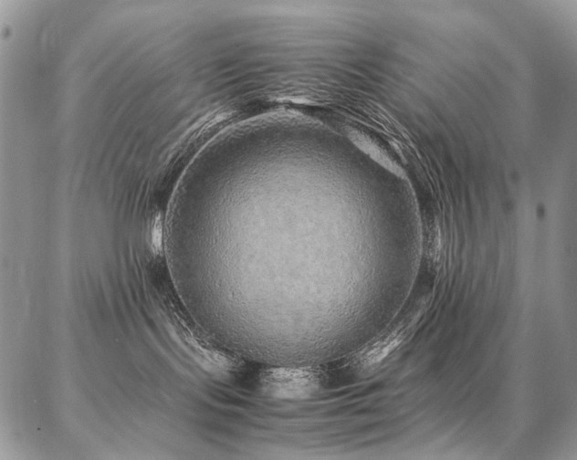 X0000087360095200704201158