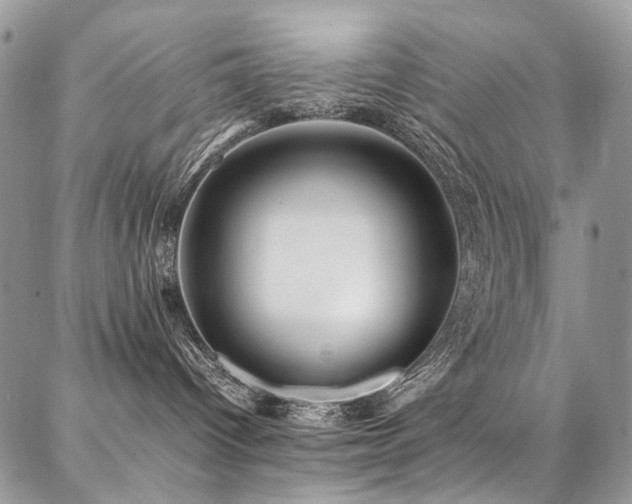 X0000087360096200704201158