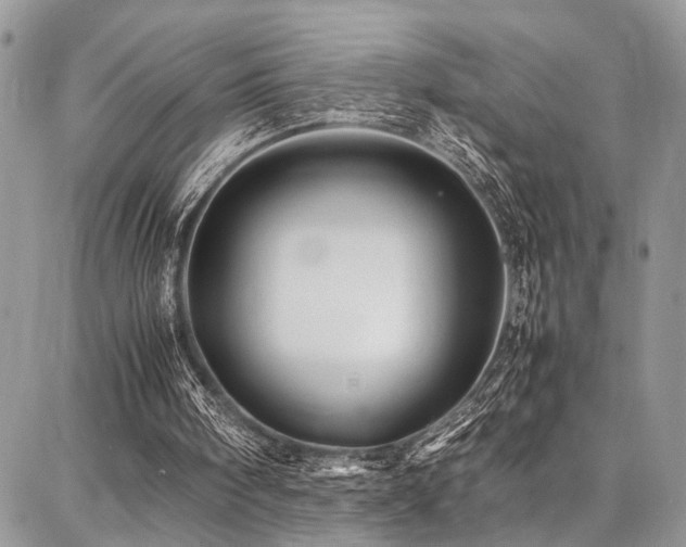 X0000087360098200704201157