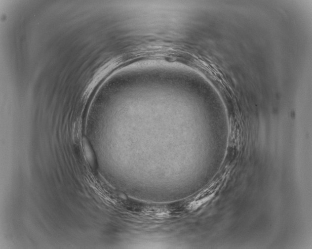 X0000087360099200704201157