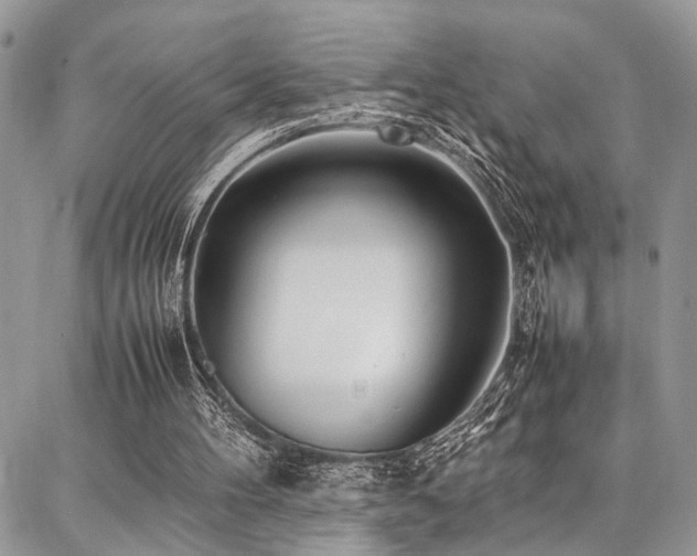 X0000087360100200704201157