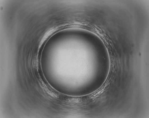 X0000087360102200704201157