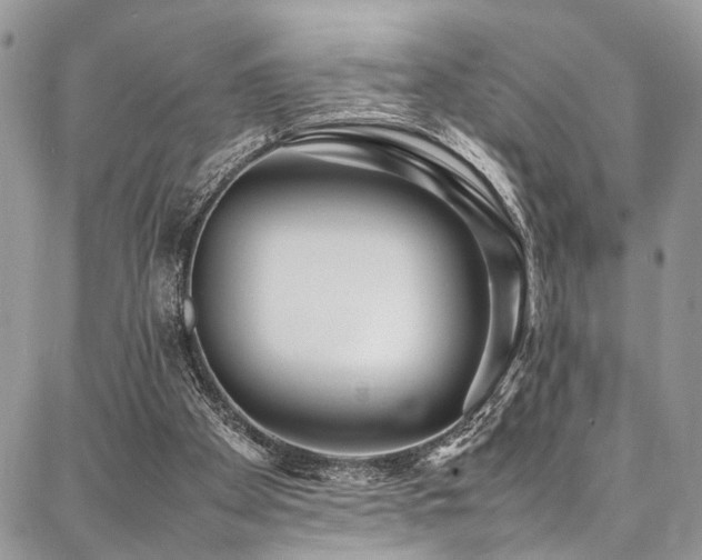 X0000087360105200704201157