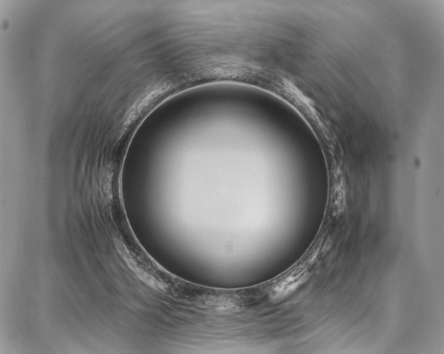 X0000087360106200704201157