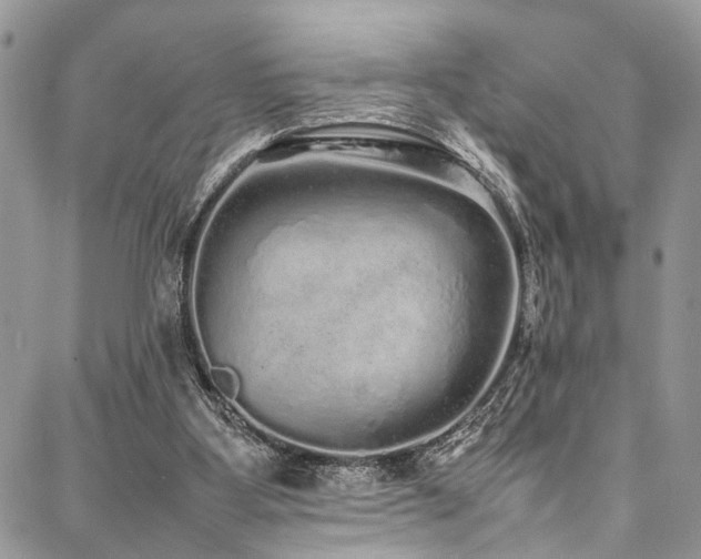X0000087360107200704201157