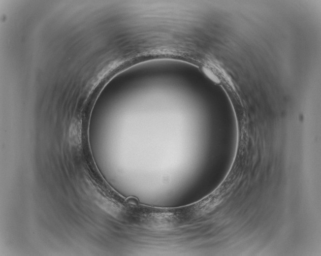 X0000087360108200704201157